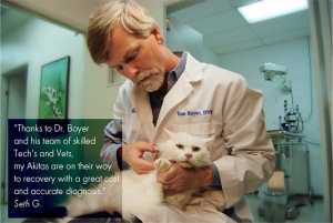 Dr. Boyer and Dr. Steffes Dr. Boyer and Dr. Steffes