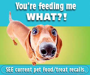 Recall Banner