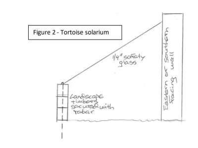 Tortoise solarium