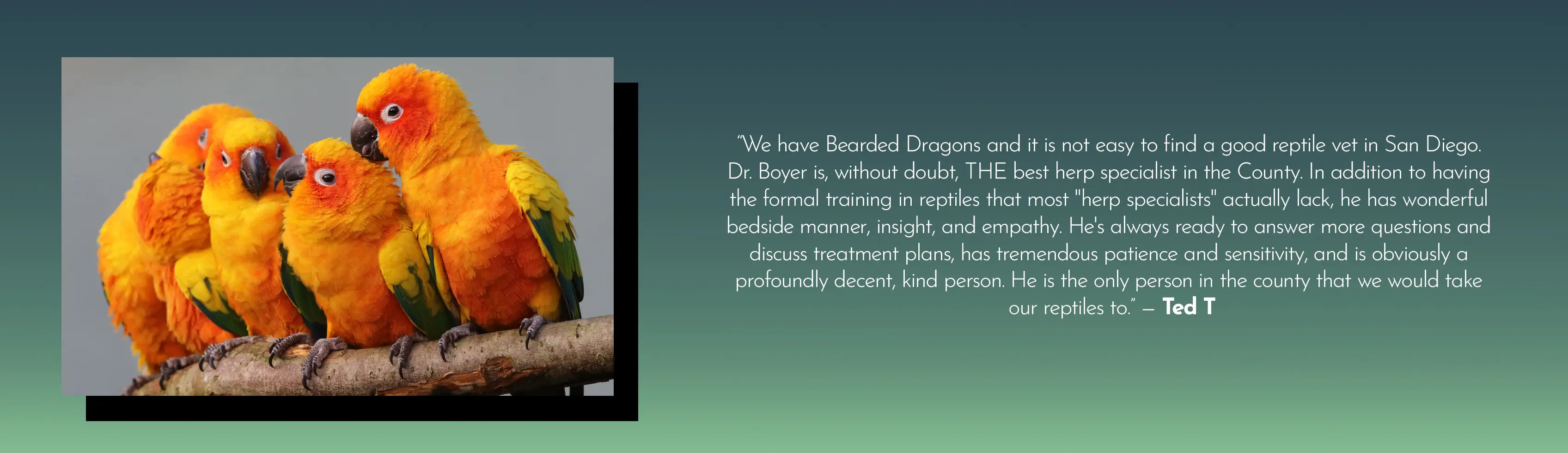 Bird Testimonial