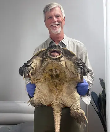 Dr. Tom & Turtle
