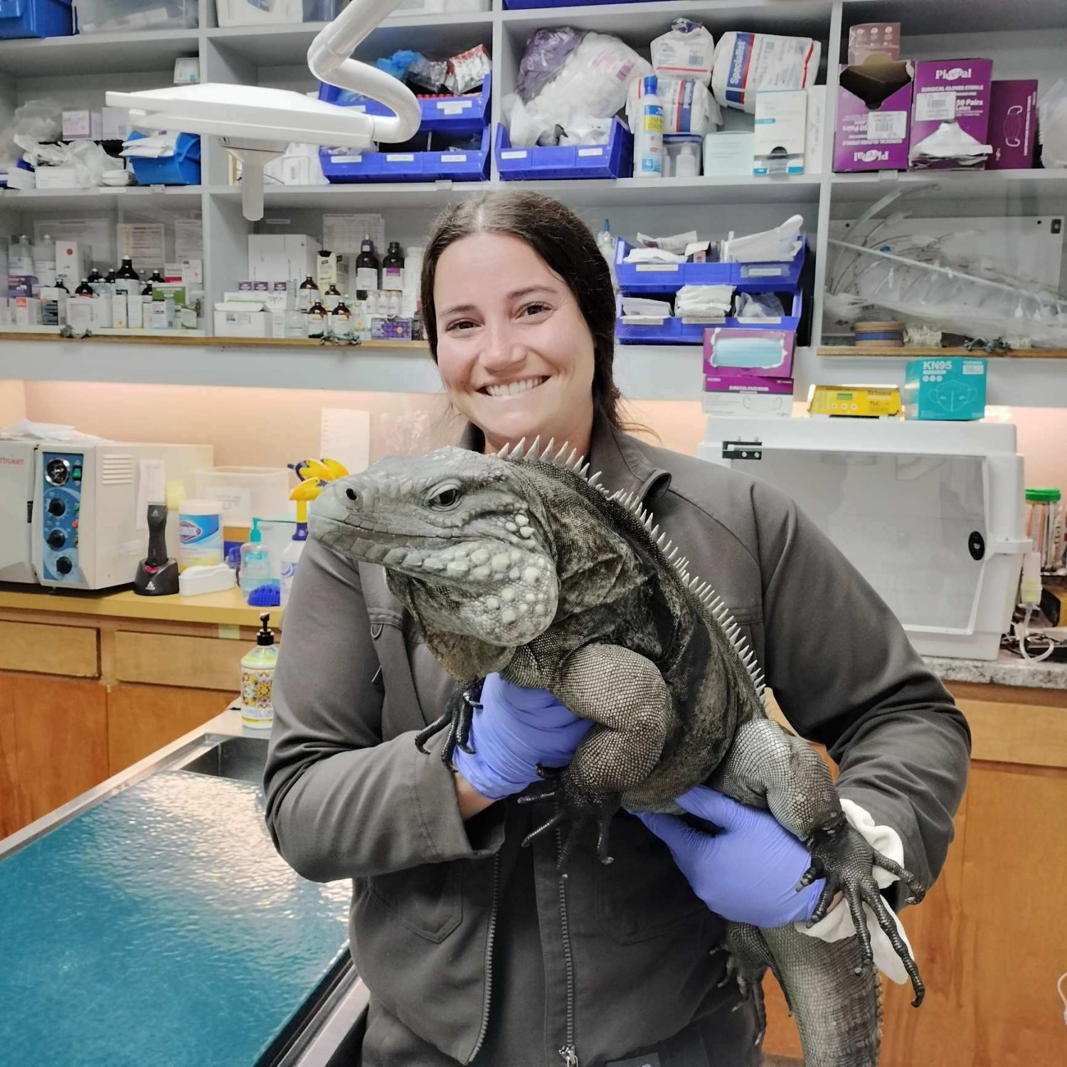 Jaclyn Wilson, DVM, MFAS, Veterinary Specialist