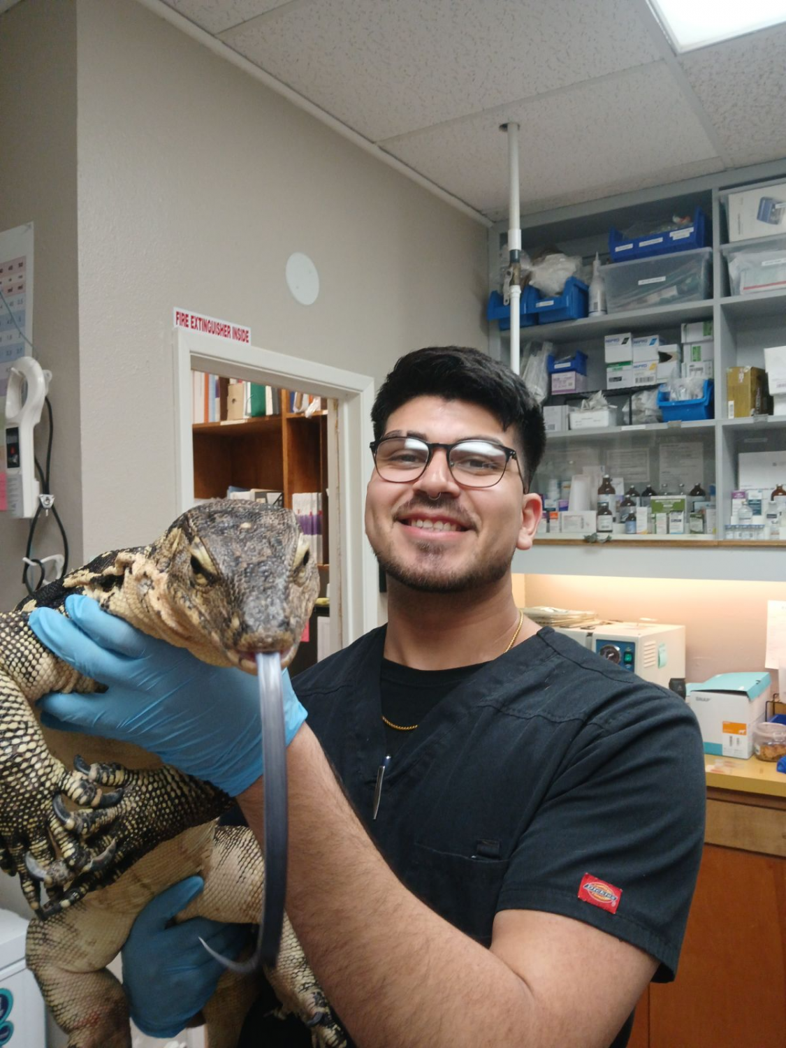 Alonso is a veterinary technician specialist in exotic companion animals