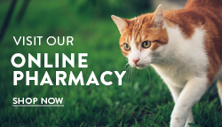 Our convenient Online Pharmacy